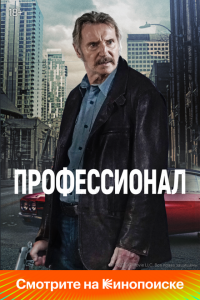  Профессионал (2024 ) 