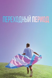  Переходный период (2020 ) 
