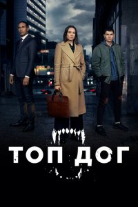  Топ дог (2020 ) 