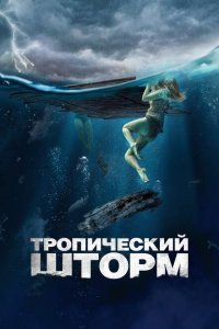  Рекуин (2022 ) 