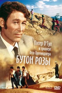  Бутон розы (1975 ) 