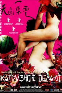  Капризное облако (2005 ) 