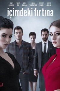  Буря внутри меня (2017 ) 