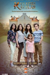  Птицы без крыльев (2017 ) 
