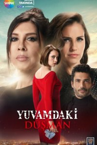  Враг в моём доме (2018 ) 