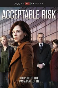 Допустимый риск (2017 ) 