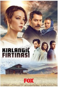  Шторм ласточки (2017 ) 