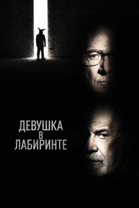  Девушка в лабиринте (2019 ) 