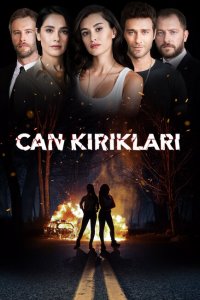  Осколки души (2018 ) 
