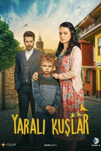  Раненые птицы (2019 ) 