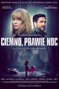  Темно, почти ночь (2019 ) 