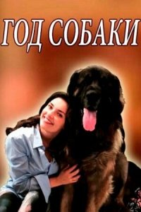  Год собаки (2018 ) 