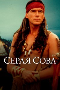  Серая сова (1999 ) 