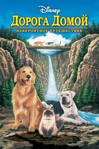  Дорога домой: Невероятное путешествие (1993 ) 