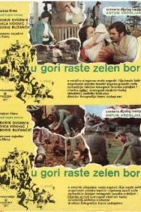  На горе растет зеленая сосна (1971 ) 