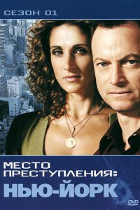  CSI: Место преступления Нью-Йорк (2004 ) 