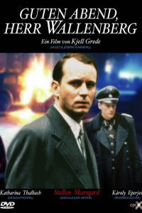 Добрый вечер, господин Валленберг (1990 ) 