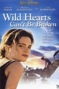  Храбрых сердцем не сломить (1991 ) 