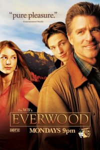  Любовь вдовца (2002 ) 
