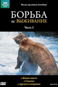  BBC: Борьба за выживание (1990 ) 