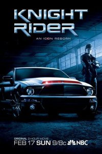  Рыцарь дорог (2008 ) 