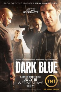  Под прикрытием (2009 ) 