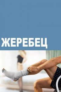  Жеребец (2009 ) 