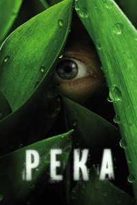  Река (2012 ) 