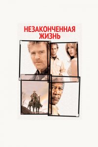  Незаконченная жизнь (2004 ) 
