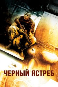 Черный ястреб (2001 ) 