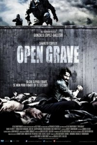  Открытая могила (2013 ) 