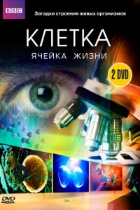  BBC: Клетка (2009 ) 