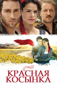  Красная косынка (2011 ) 