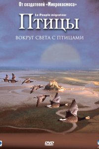  Птицы (2001 ) 
