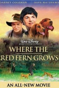  Цветок Красного папоротника (2003 ) 