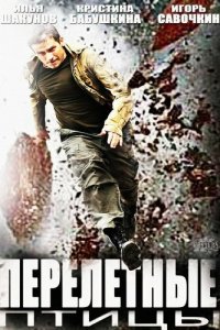  Перелётные птицы (2014 ) 