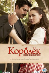  Королёк – птичка певчая (2013 ) 