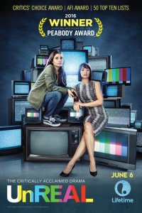  Нереальный холостяк (2015 ) 