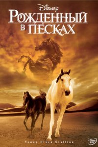  Рожденный в песках (2003 ) 