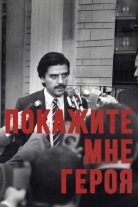  Покажите мне героя (2015 ) 