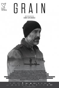  Зерно (2017 ) 