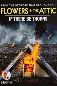  Сквозь тернии (2015 ) 