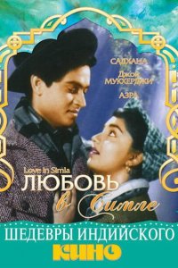  Любовь в Симле (1960 ) 