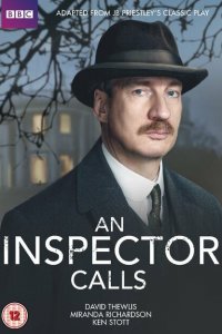  Визит инспектора (2015 ) 