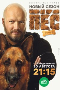  Пёс (2015 ) 