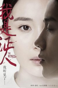  Свидетель (2015 ) 