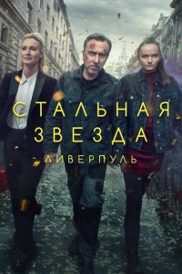  Стальная звезда (2017 ) 