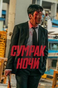  Сумрак ночи (2025 ) 