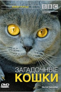  BBC: Загадочные кошки (2002 ) 