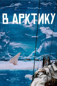  В Арктику 